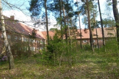 wäldchen