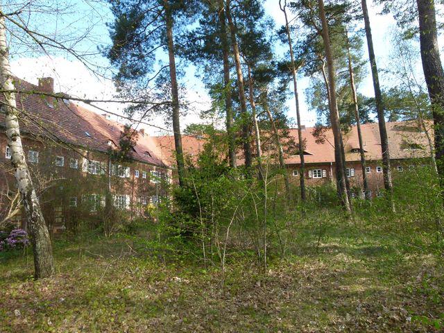wäldchen