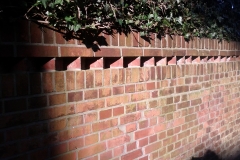 IMG_20120306_093730